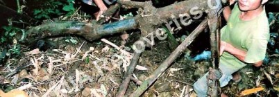 B-24D #42-40069 Photo Gallery <br>Found 20 Sep 2008