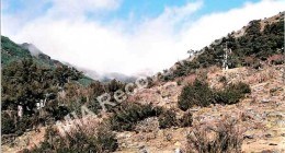 Crash site area