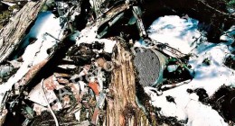 Wreckage