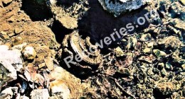 Wreckage