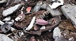 Wreckage and personal artifacts