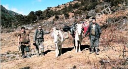 Tibetan guides
