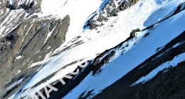 Search area