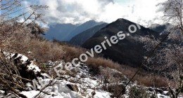 Crash site in valley