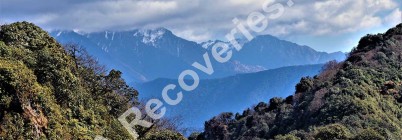 C-46A #42-96721 Photo Gallery <br>Found 19 Dec 2021