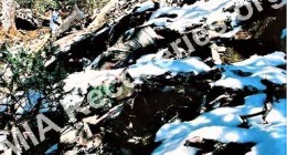 Wreckage