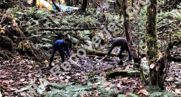 Digging sump in mud seep<br /> for water at high camp