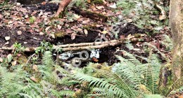 Water source at high camp