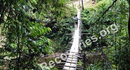 Hanging bridge