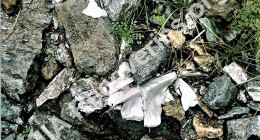 Wreckage