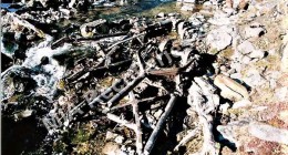 Wreckage