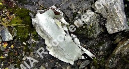 Wreckage