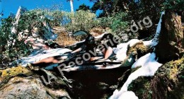 Wreckage