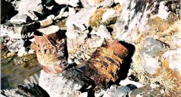 Wreckage