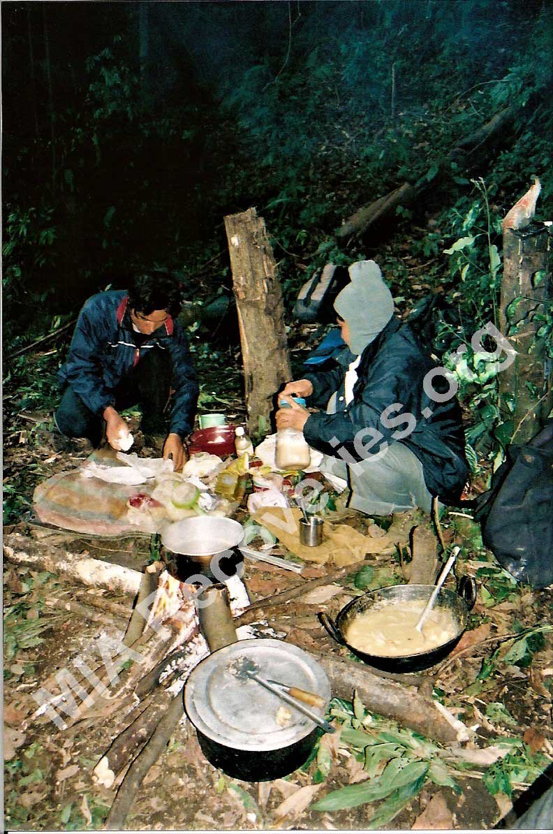Jungle camp near crash site