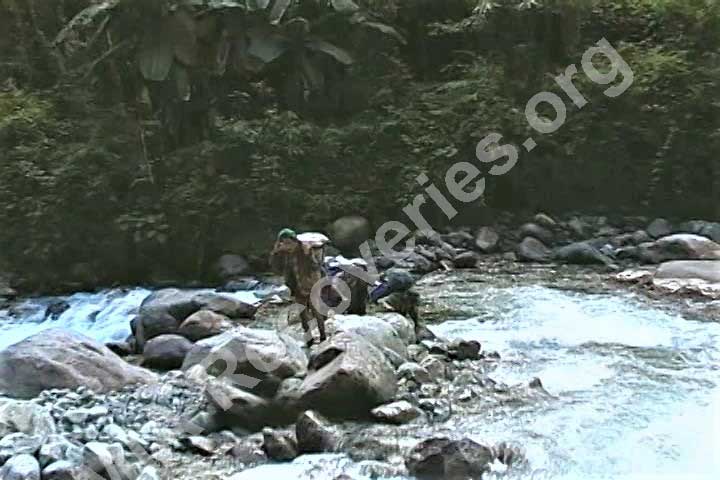 River crossing enroute to crash site