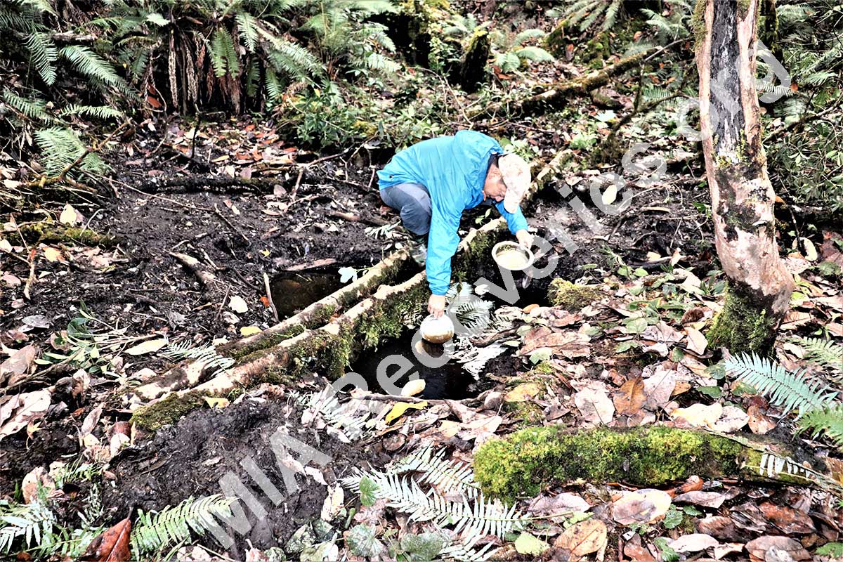 Water source at high camp