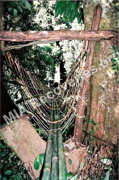 One of many precarious hanging bridges