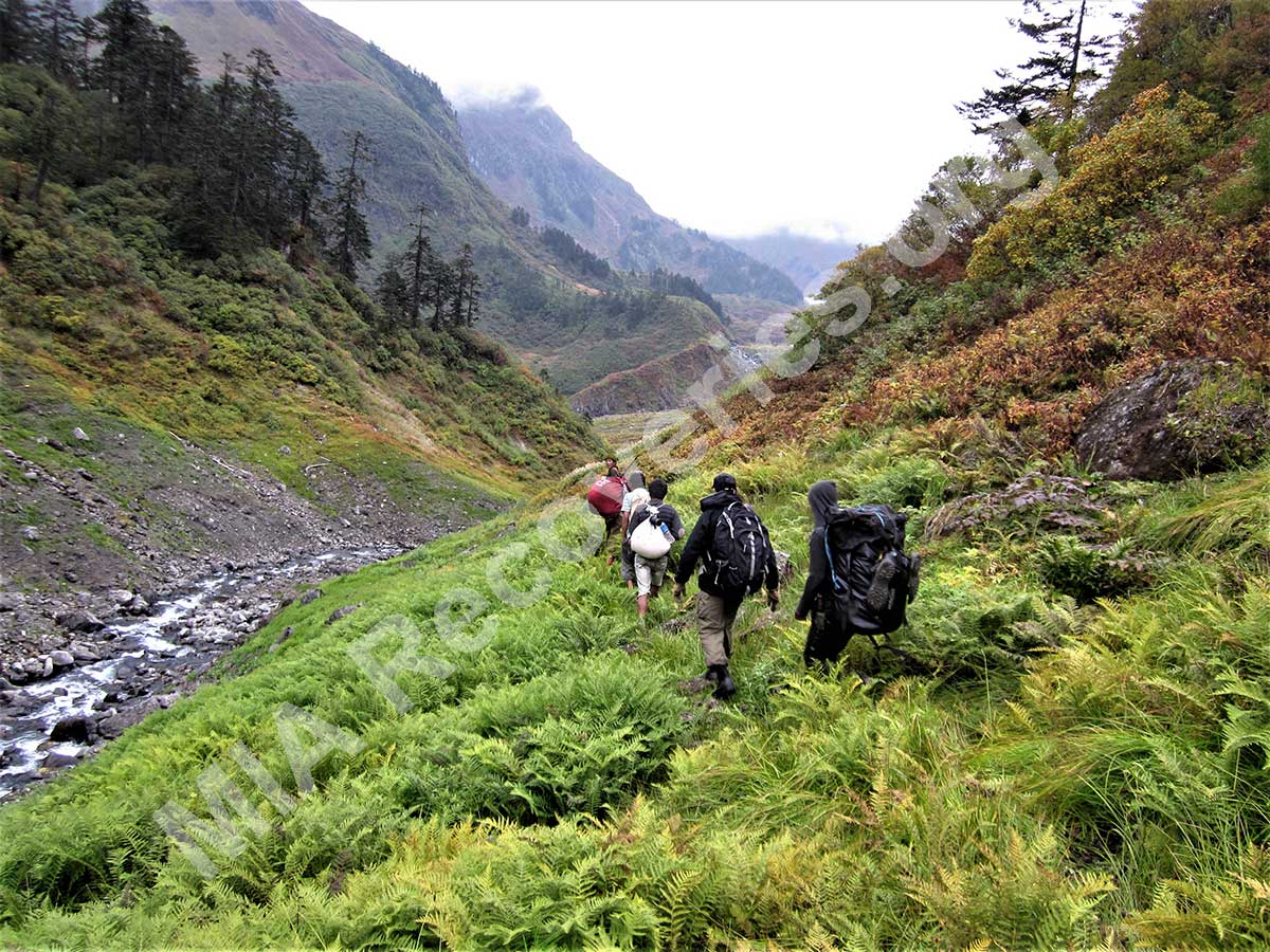 Trekking back to village