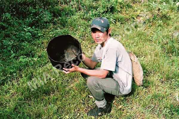 Cooking pot made from wreckage